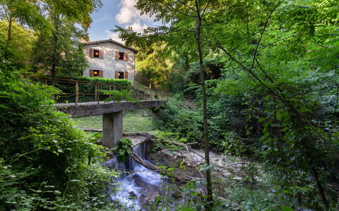 La Ripresa: Natuur, Water, Vegetation, Groen, Waterloop, Boom, Natuurgebied, Natuurlijke Omgeving, Biome, Rivier