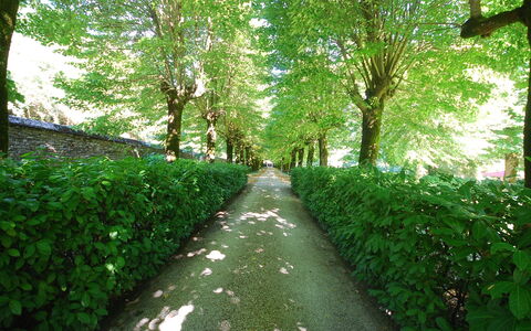 Villa Paola: Groen, Natuur, Boom, Natuurlijk Landschap, Vegetation, Blad, Natuurgebied, Natuurlijke Omgeving, Gras, Fabriek