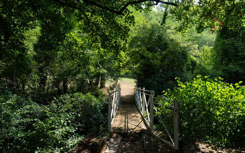 Villa Paola: Blad, Afdeling, Groen, Natuurlijke Omgeving, Boom, Natuur, Hout, Vegetation, Natuurlijk Landschap, Woud