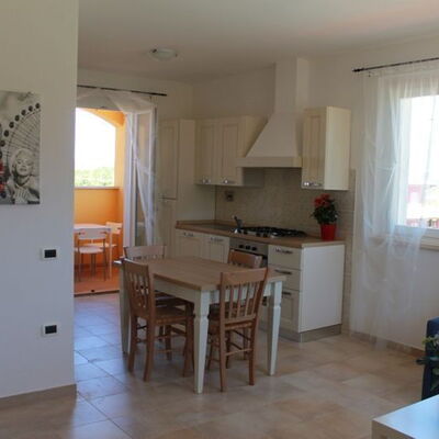 Trilocale Piano Terra 234