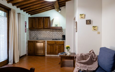 Accommodatie:&nbsp;Olivi