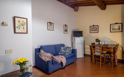 Accommodatie:&nbsp;Olivi