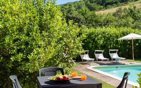 Villa Il Nido: Water, Fabriek, Meubilair, Plantengemeenschap, Groen, Buitenmeubels, Tafel, Zwembad, Bloem, Boom