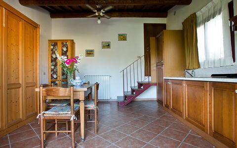 Accommodatie:&nbsp;509