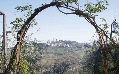 the view from the garden