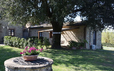 rocche-di-valiano-chianti-castelnuovo-berardenga-multiproprietà-mimosa-garden