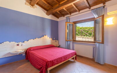 Accommodatie:&nbsp;Pesci
