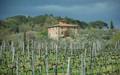 Accommodatie:&nbsp;Villa Margherita