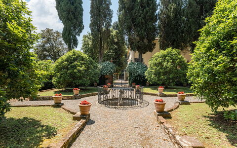 Villa de Ranieri: Fabriek, Weg Oppervlak, Boom, Natuurlijk Landschap, Gras, Woody Plant, Evergreen, Vrije Tijd, Groundcover, Weg