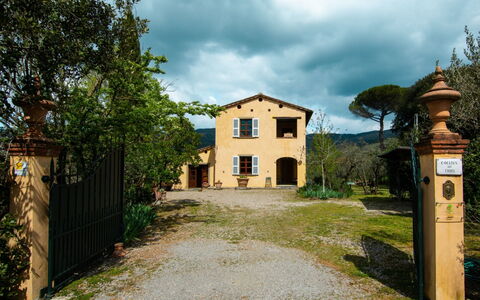 Collina dei Fiori: Lucht, Wolk, Fabriek, Venster, Gebouw, Land Lot, Boom, Gras, Landschap, Landelijk Gebied