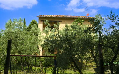 Collina dei Fiori