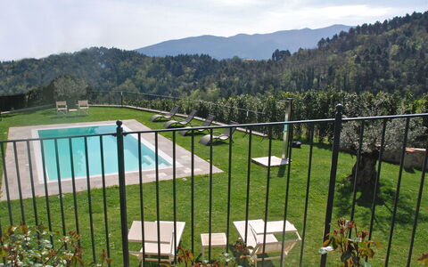 Montefiore: Hek, Sportplaats, Gras, Land Lot, Heuvel Station, Ijzer, Lucht, Landschap, Gazon, Metaal