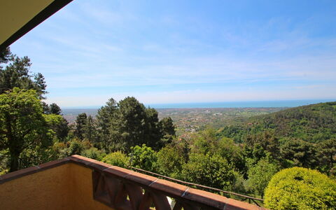 Villa La Collinetta: Wolk, Lucht, Eigendom, Natuur, Blad, Hout, Architectuur, Boom, Vegetation, Ochtend
