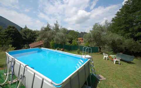 Al Laino