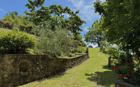 Anfora!!: Gras, Groen, Boom, Blad, Vegetation, Natuurlijk Landschap, Struik, Landschap, Landelijk Gebied