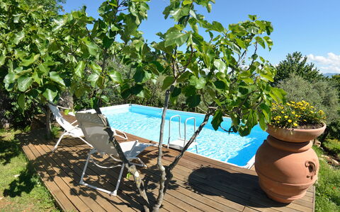 Bettina!: Eigendom, Boom, Fabriek, Onroerend Goed, Vrije Tijd, Vakantie, Huis, Zwembad, Bloem, Landgoed