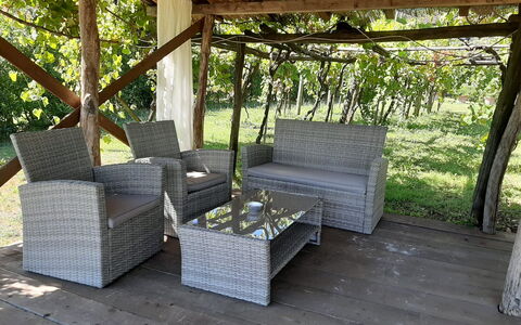 Bettina!: Fabriek, Schaduw, Hout, Bankstel, Buitenmeubels, Boom, Interieur Ontwerp, Gras, Verblijf, Rechthoek