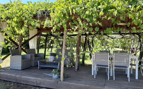 Bettina!: Fabriek, Schaduw, Plantkunde, Lucht, Struik, Gras, Boom, Openluchtbank, Groundcover, Bloeiende Plant