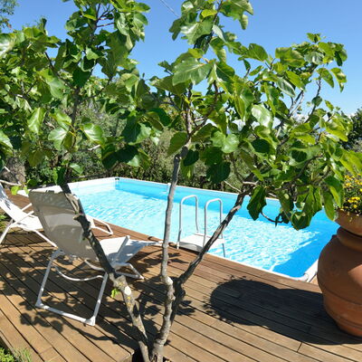 Bettina!: Eigendom, Boom, Fabriek, Onroerend Goed, Vrije Tijd, Vakantie, Huis, Zwembad, Bloem, Landgoed