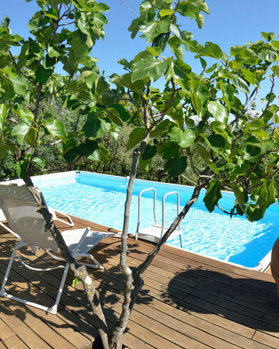 Bettina!: Eigendom, Boom, Fabriek, Onroerend Goed, Vrije Tijd, Vakantie, Huis, Zwembad, Bloem, Landgoed