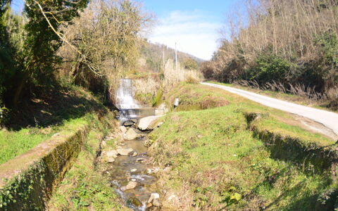 Casa Milena: Waterweg, Natuurlijk Landschap, Weg, Watervoorraden, Geologisch Fenomeen, Kanaal, Boom, Waterloop, Doorgang