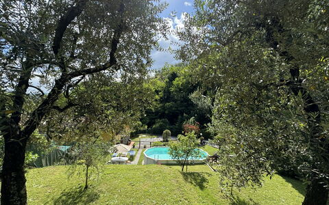 Casa Milena: Fabriek, Plantengemeenschap, Lucht, Boom, Natuurlijk Landschap, Schaduw, Land Lot, Vegetation, Zonlicht, Biome