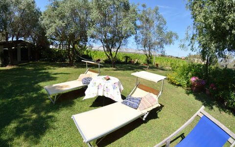 Casa Romana: Eigendom, Boom, Gras, Plantengemeenschap, Tafel, Vrije Tijd, Onroerend Goed, Huis, Recreatie, Vakantie