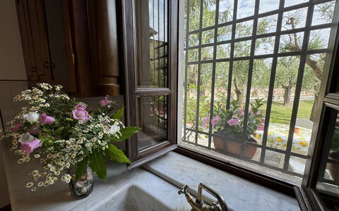 Casa Romana: Glas, Bloempot, Ijzer, Kamerplant, Daylighting, Balkon