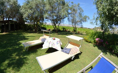 Casa Romana: Eigendom, Boom, Gras, Plantengemeenschap, Tafel, Vrije Tijd, Onroerend Goed, Huis, Recreatie, Vakantie