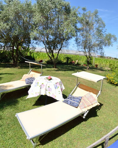 Casa Romana: Eigendom, Boom, Gras, Plantengemeenschap, Tafel, Vrije Tijd, Onroerend Goed, Huis, Recreatie, Vakantie