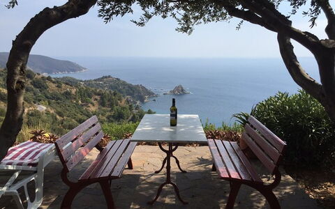 Raggio Di Sole Sull'argentario: Boom, Lucht, Zee, Vakantie, Toerisme, Kust, Meubilair, Tafel, Baai, Toevlucht