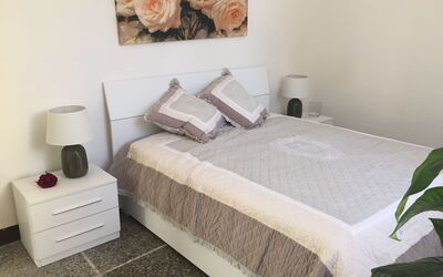Accommodatie:&nbsp;Pisa Modern Apartment 2