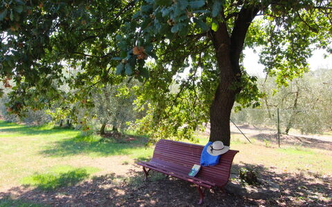 Galleria di Brolio: Fabriek, Meubilair, Openluchtbank, Groen, Boom, Schaduw, Buitenmeubels, Comfort, Natuurlijk Landschap, Vegetation