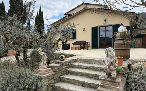 Villa Eleonora: Bloempot, Flagstone, Tuin, Schaduw, Landscaping, Kamerplant, Hacienda, Oprit, Werf