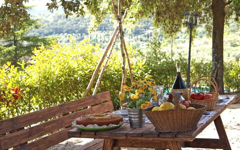 Villa Gelsomino: Tafel, Meubilair, Backyard, Picknick, Kamer, Boom, Landschap, Buitentafel, Buitenmeubels, Maaltijd
