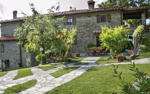 Villa Magnolia: Eigendom, Huis, Gebouw, Werf, Verblijf, Tuin, Woongebied, Huis, Onroerend Goed, Gras