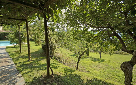 Villa Magnolia: Boom, Natuur, Natuurlijk Landschap, Groen, Vegetation, Gras, Natuurlijke Omgeving, Natuurgebied, Afdeling, Woody Plant