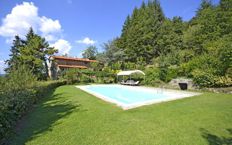 Villa Magnolia: Eigendom, Gras, Huis, Natuurlijk Landschap, Landgoed, Onroerend Goed, Huis, Gebouw, Werf, Backyard