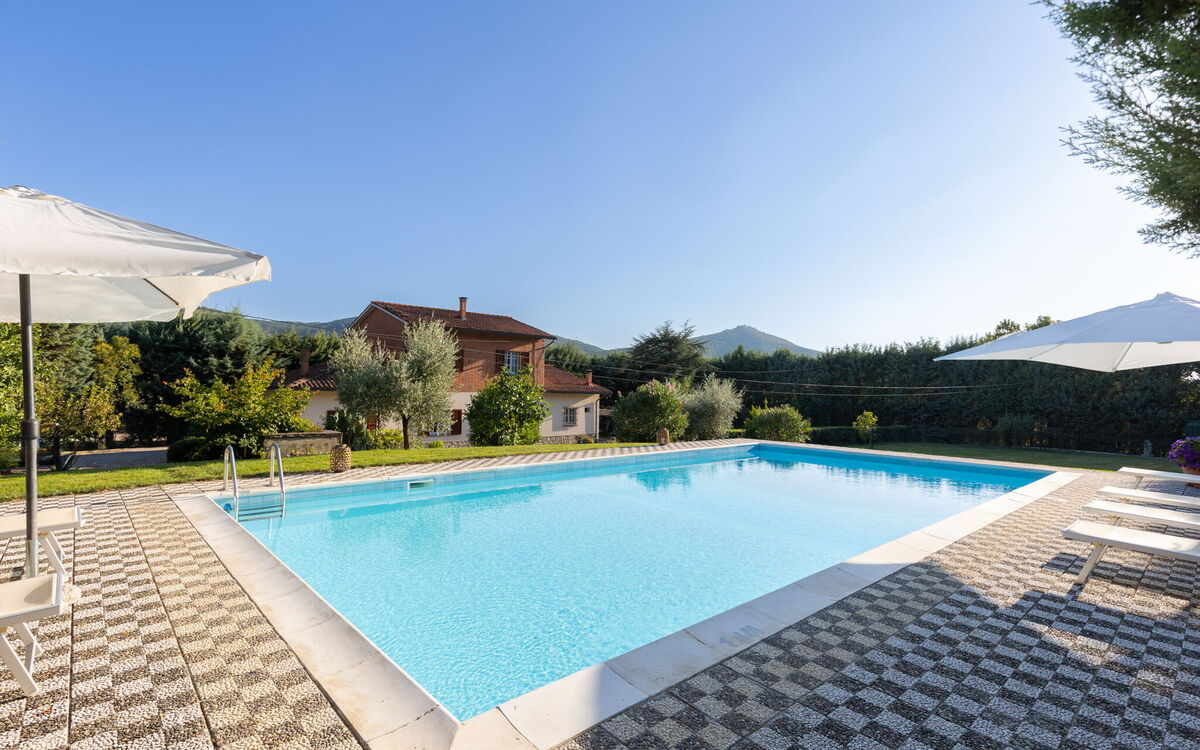 Swimming pool and outdoor view