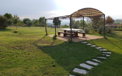 Villa Anita: Gras, Land Lot, Grasland, Landelijk Gebied, Gazon, Boerderij, Werf, Backyard, Tuin, Schaduw