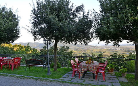 Appartamento Luna: Boom, Vrije Tijd, Plantkunde, Woody Plant, Gras, De Lente, Landelijk Gebied, Meubilair, Tuin, Zomer