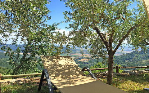 Villa Del Sole: Boom, Woody Plant, Fabriek, Natuurgebied, Kano Birch, Onroerend Goed, Vlak, Tafel, Schaduw