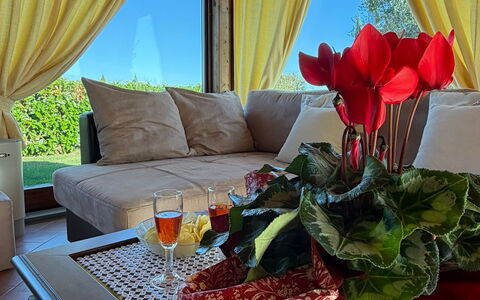 Villa Mira: Meubilair, Interieur Ontwerp, Verlichting, Bankstel, Gordijn, Schaduw, Venster Behandeling, Eco Hotel, Woonkamer