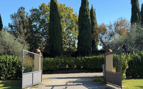 Villa Mira: Struik, Tuin, Schaduw, Landscaping, Evergreen, Haag, Park, Hek