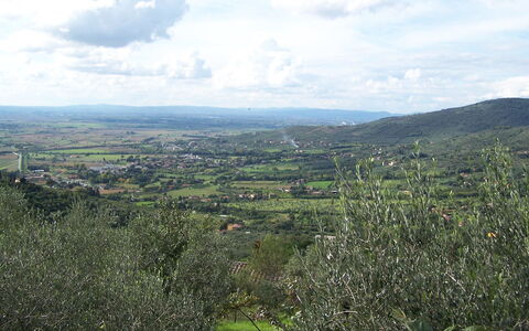 Villa Degli Ulivi: Vegetation, Lucht, Bergachtig Landvormen, Hoogland, Heuvel, Natuurlijke Omgeving, Wolk, Wildernis, Berg, Natuurgebied