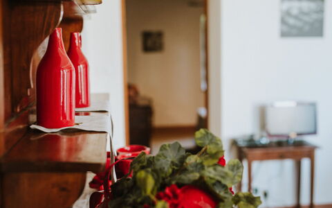 Agriturismo la Papessa: Oranje, Fabriek, Toestel Van De Keuken, Keuken, Gas, Hout, Bloem, Petal