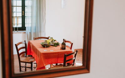 agriturismo-la-papessa-chianti-san-donato-farmhouse-gardenia-living-room-diningroom