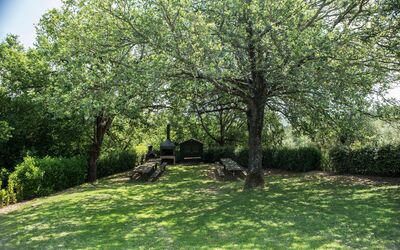 agriturismo-la-papessa-chianti-san-donato-farmhouse-tree