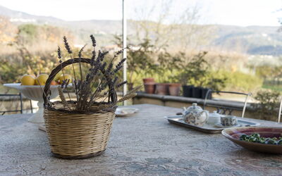 Villa Il Palagio Pian Di Sco