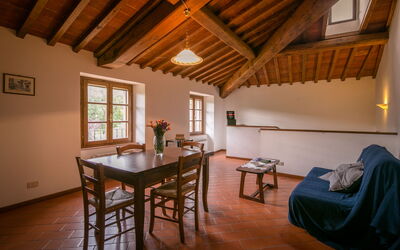 Accommodatie:&nbsp;Oliveto